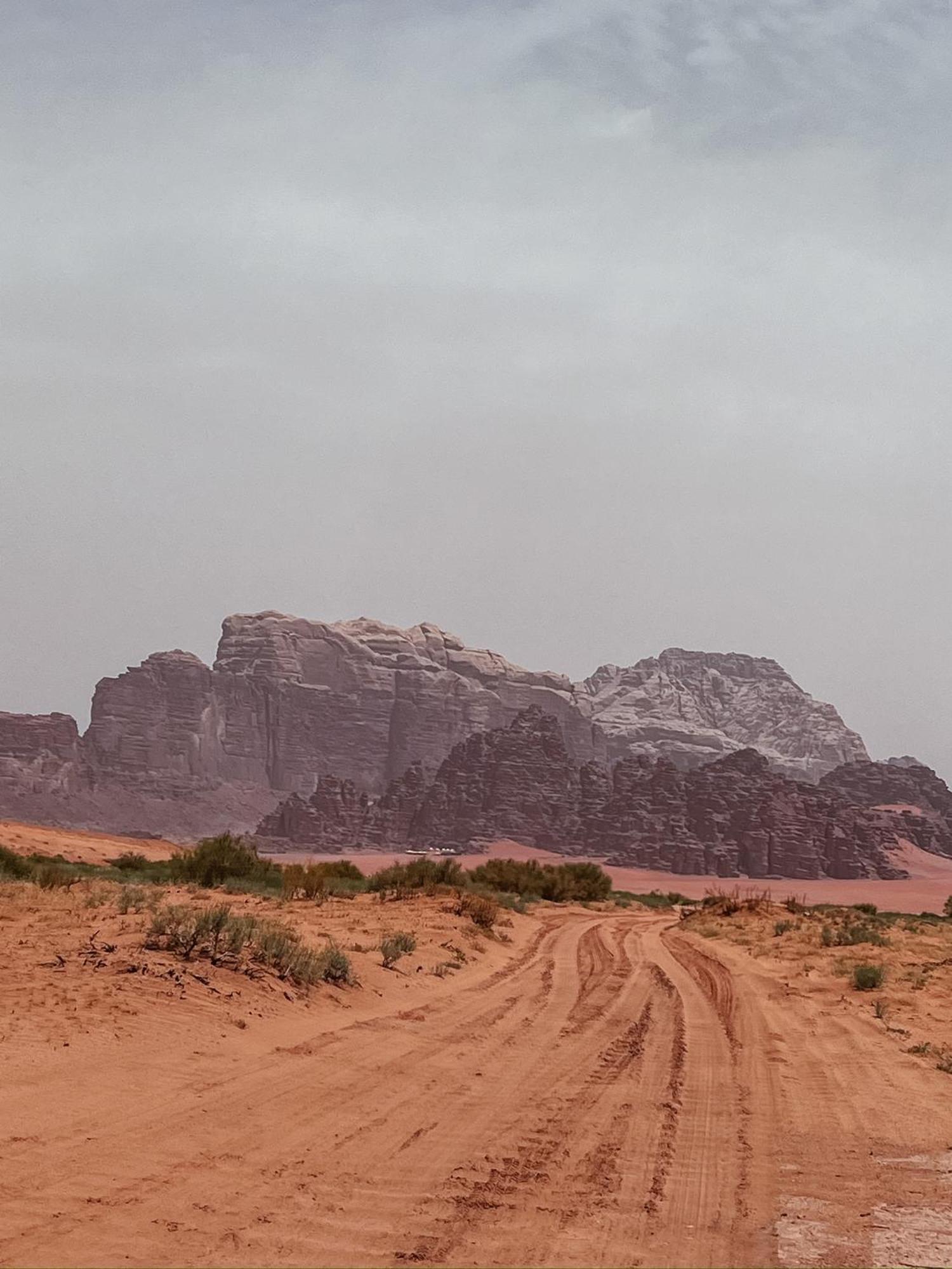 Desert Bird Camp Rum vádi Kültér fotó