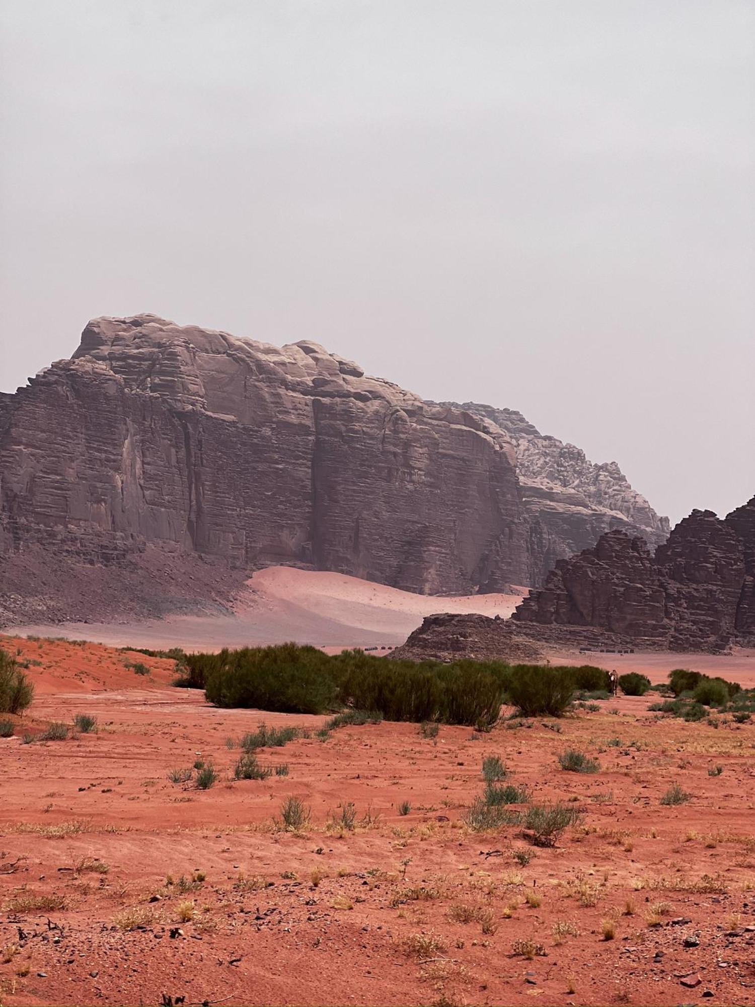 Desert Bird Camp Rum vádi Kültér fotó